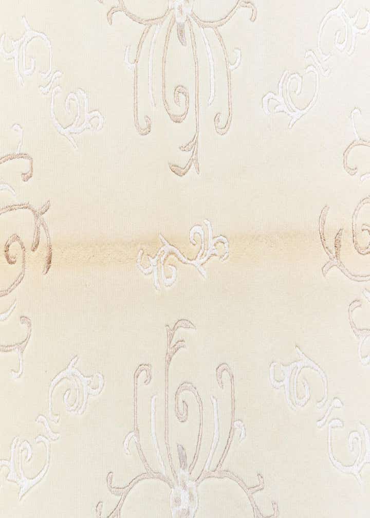 4' 1 x 5' 11 Darya Rug