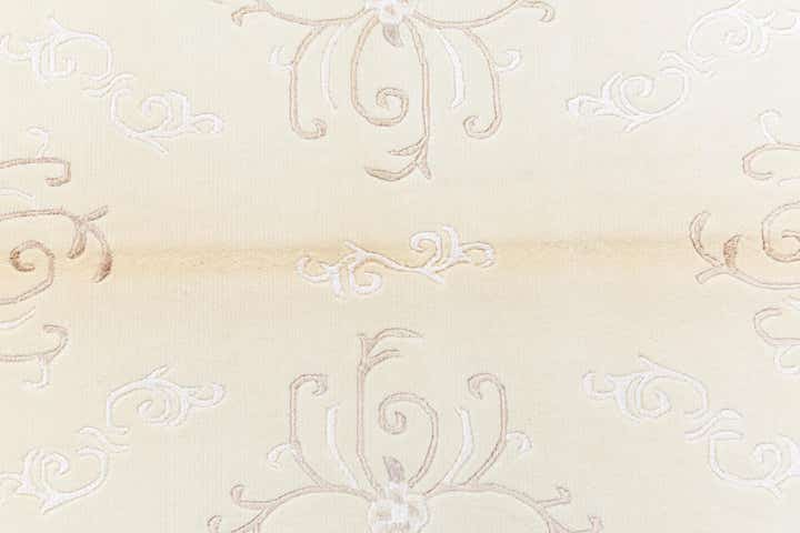 4' 1 x 5' 11 Darya Rug