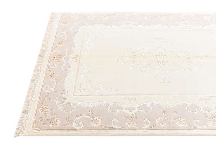 3' 11 x 5' 11 Darya Rug