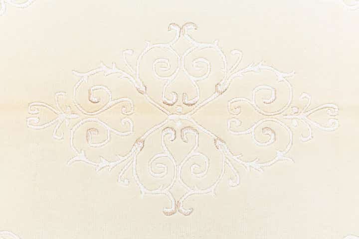 3' 11 x 5' 11 Darya Rug