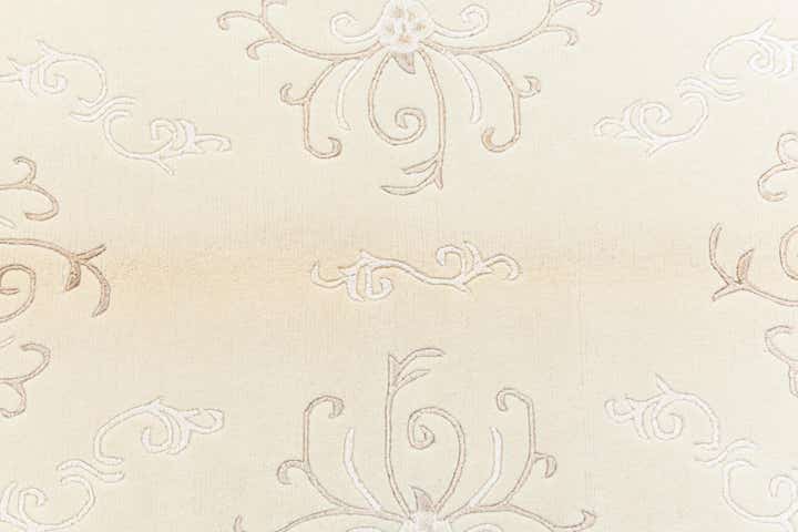 4' 1 x 5' 11 Darya Rug