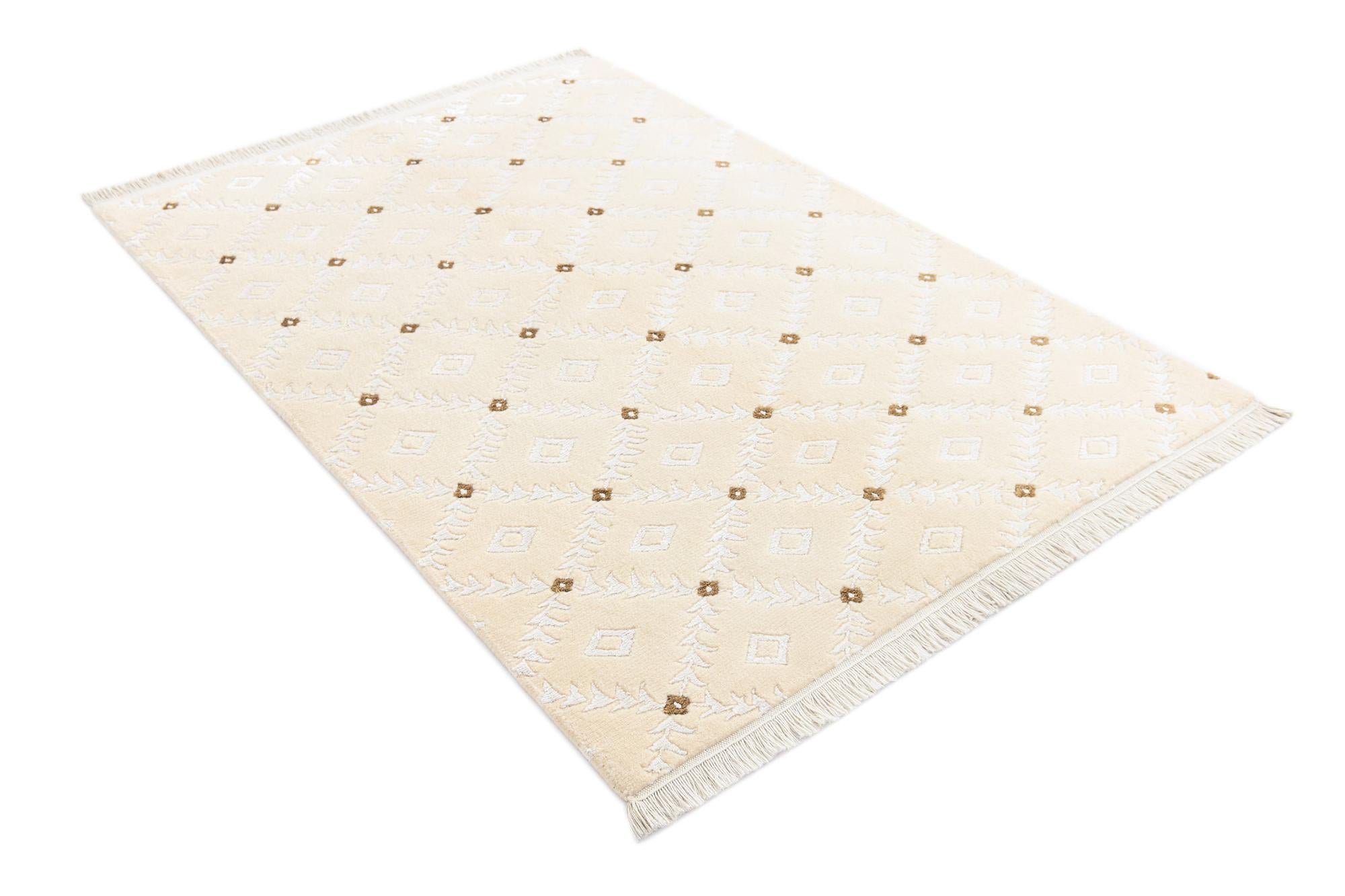 4' x 5' 10 Darya Rug