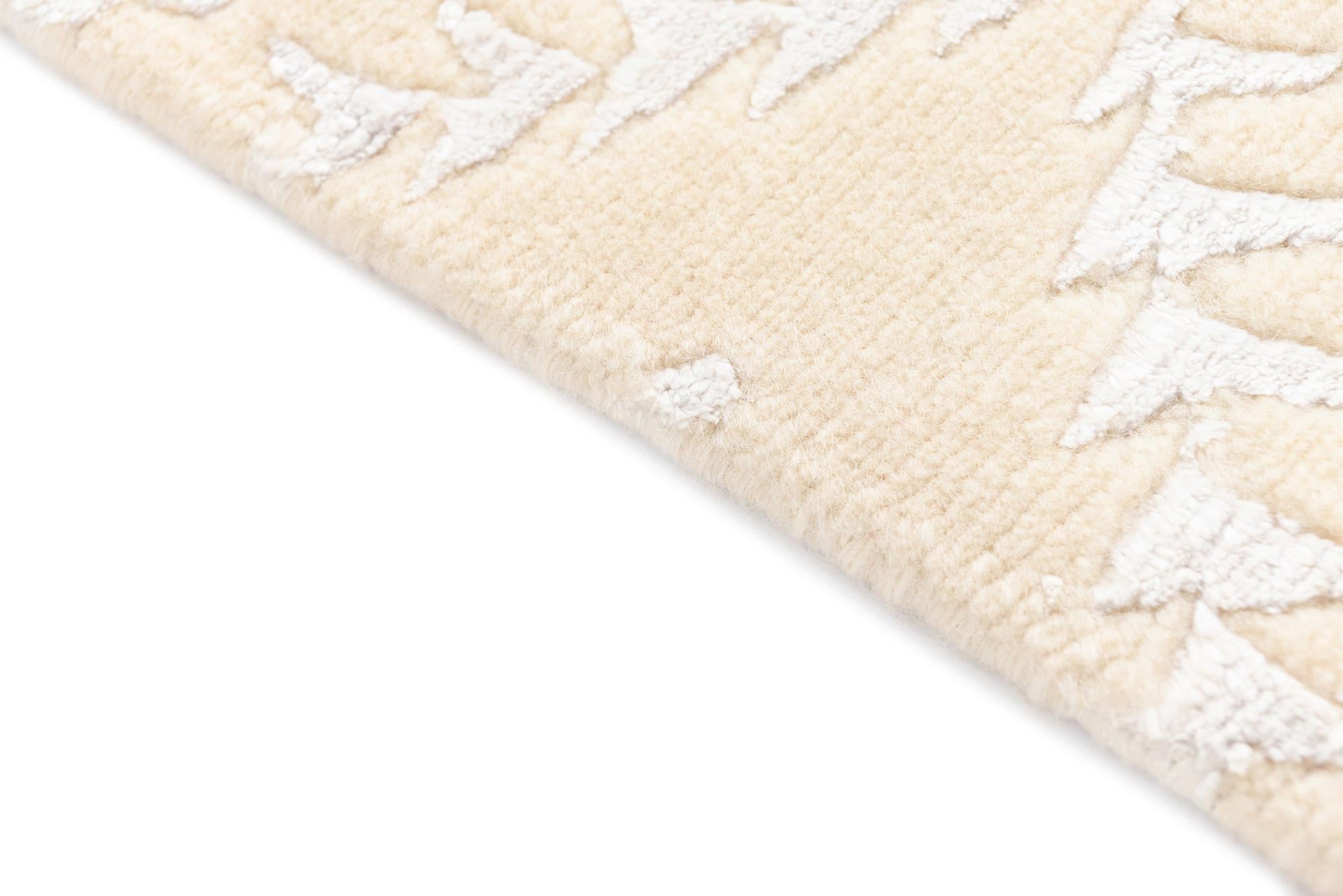 4' x 5' 10 Darya Rug