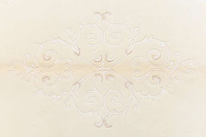 4' x 5' 11 Darya Rug