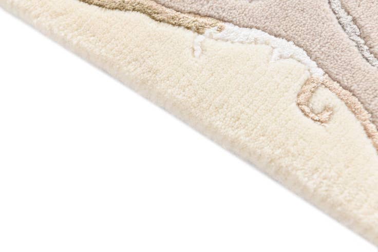 Detail image of 4' x 5' 11 Darya Rug