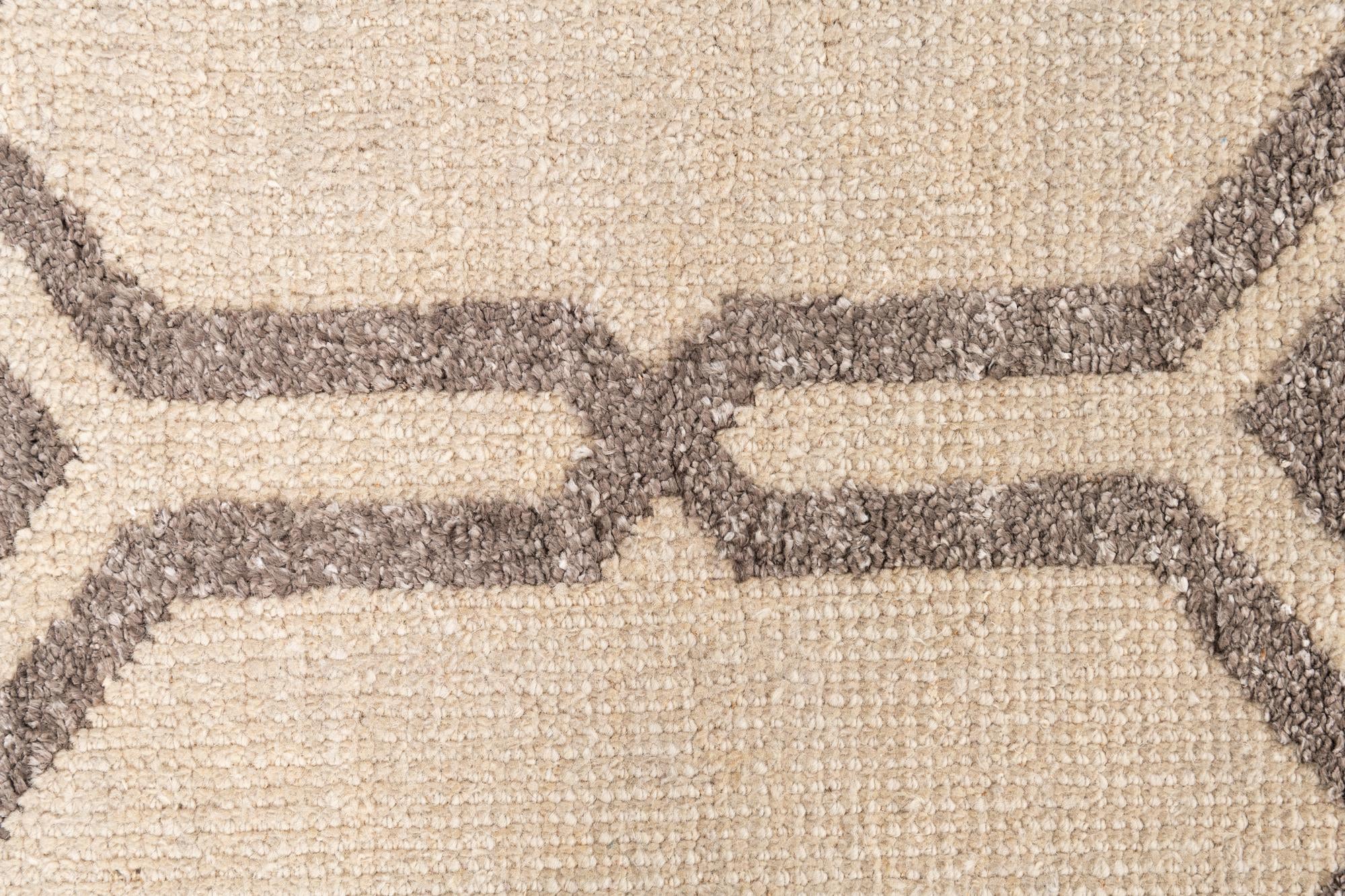 3' 9 x 5' 9 Hand Knotted Darya Rug