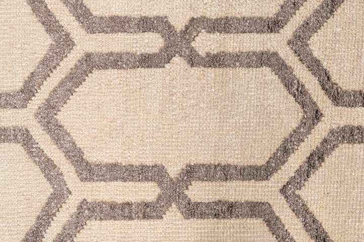 3' 9 x 5' 9 Hand Knotted Darya Rug