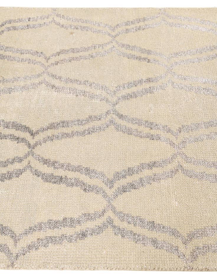 Detail image of 3' 9 x 6'  Hand Knotted Darya Rug