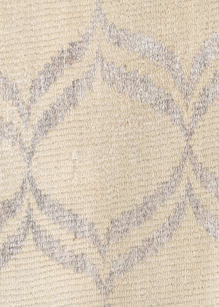 3' 9 x 6' Hand Knotted Darya Rug
