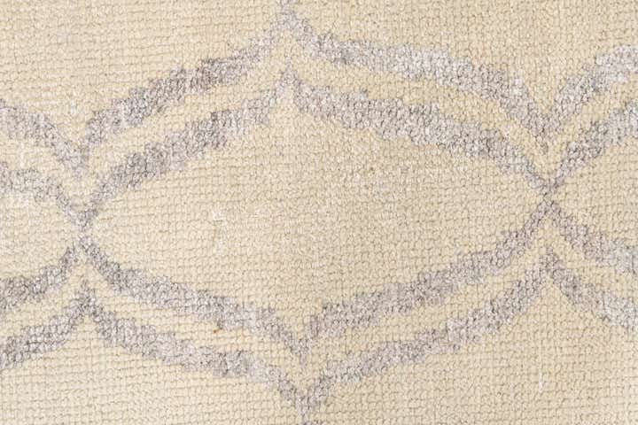 3' 9 x 6' Hand Knotted Darya Rug
