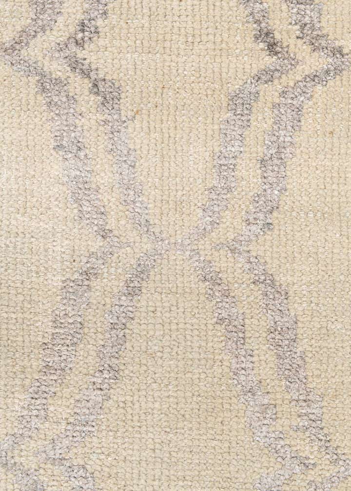 3' 9 x 6' Hand Knotted Darya Rug