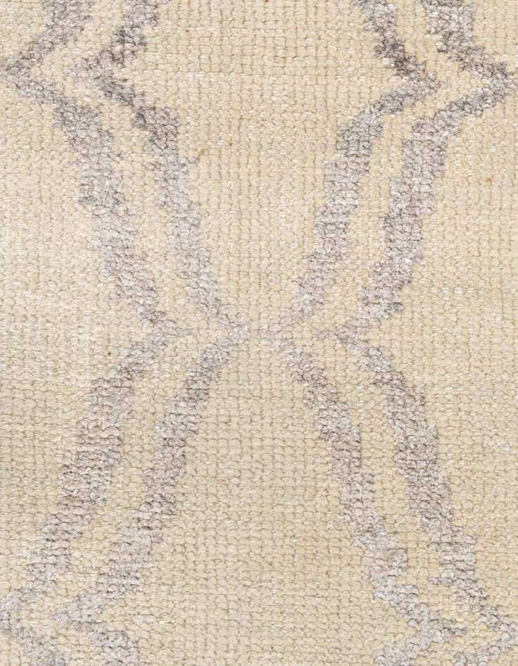 Detail image of 3' 9 x 6'  Hand Knotted Darya Rug
