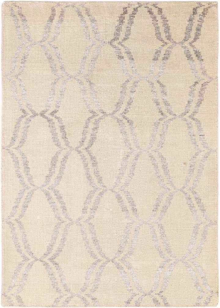 3' 9 x 6' Hand Knotted Darya Rug