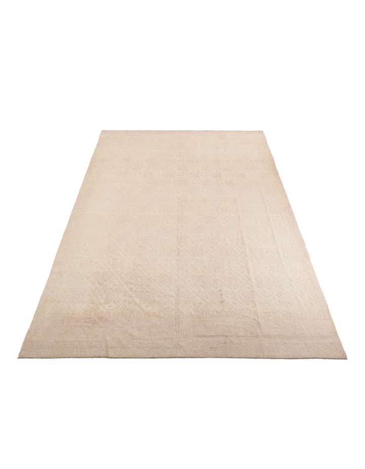 9' 9 x 14' Hand Knotted Darya Wool Rug