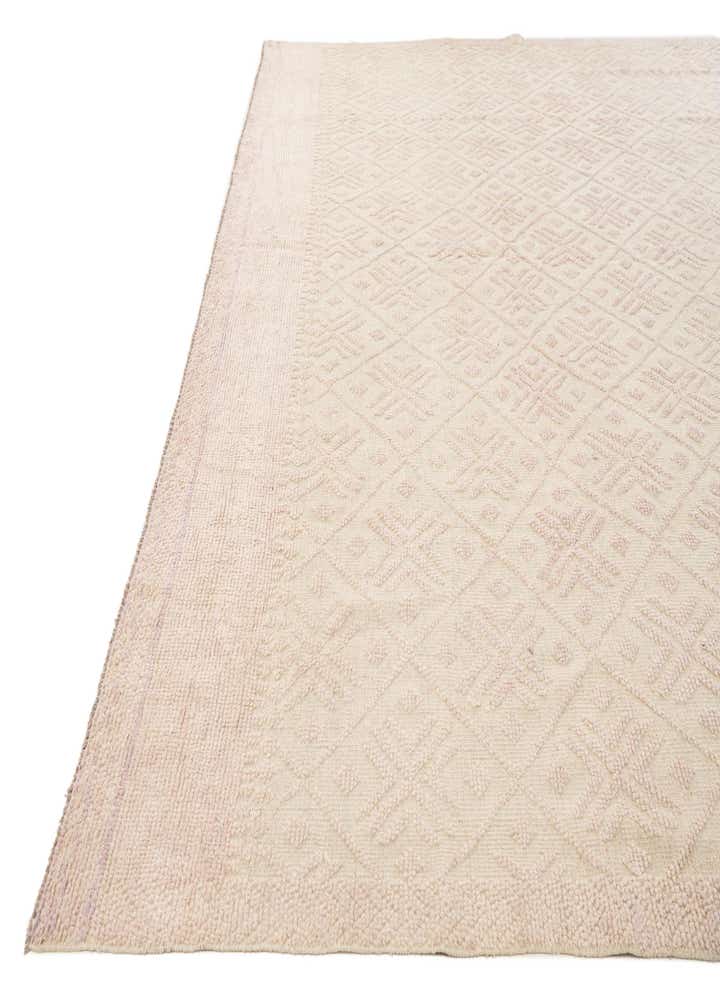 9' 9 x 14' Hand Knotted Darya Wool Rug