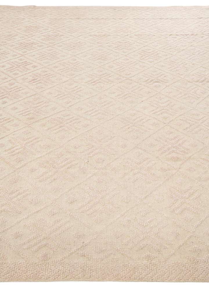 9' 9 x 14' Hand Knotted Darya Wool Rug