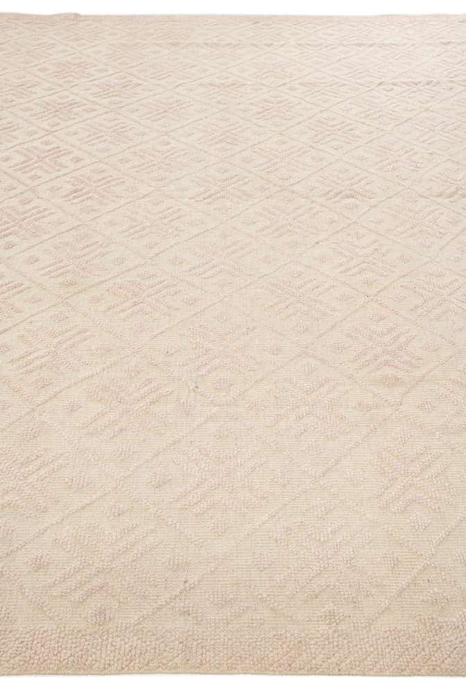 9' 9 x 14' Hand Knotted Darya Wool Rug