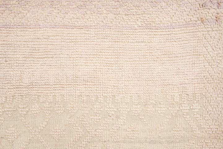 9' 9 x 14' Hand Knotted Darya Wool Rug
