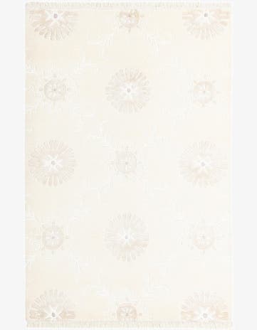 3' 11 x 6' Darya Rug