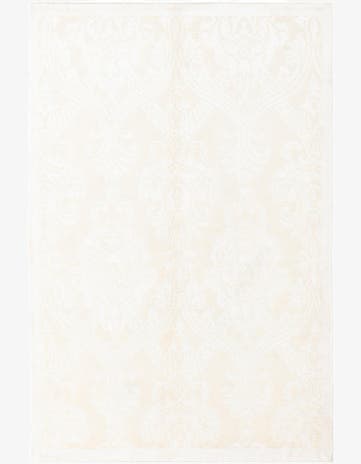 3' 11 x 6' 1 Darya Rug