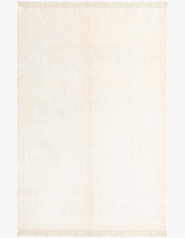 4' x 5' 11 Darya Rug