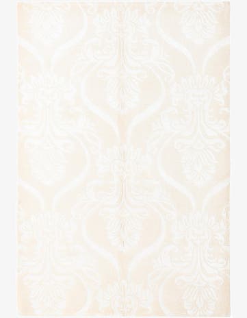 3' 11 x 5' 9 Darya Rug