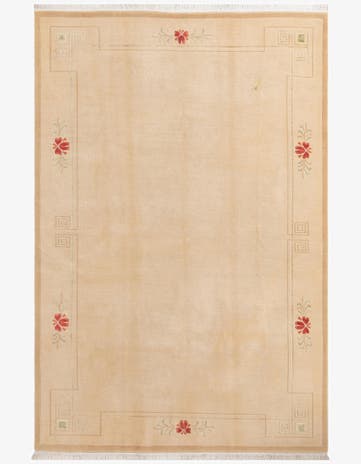 6' 6 x 9' 9 Hand Knotted Darya Wool Rug