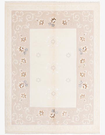 4' 10 x 6' 8 Darya Rug