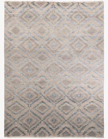 9' 5 x 13' Hand Knotted Darya Rug