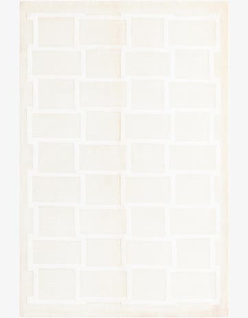 3' 11 x 5' 11 Darya Rug