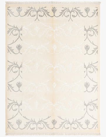 4' 11 x 6' 7 Darya Rug