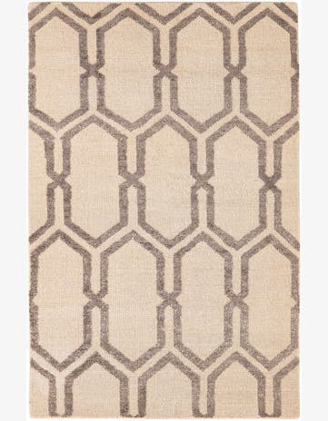 3' 9 x 5' 9 Hand Knotted Darya Rug