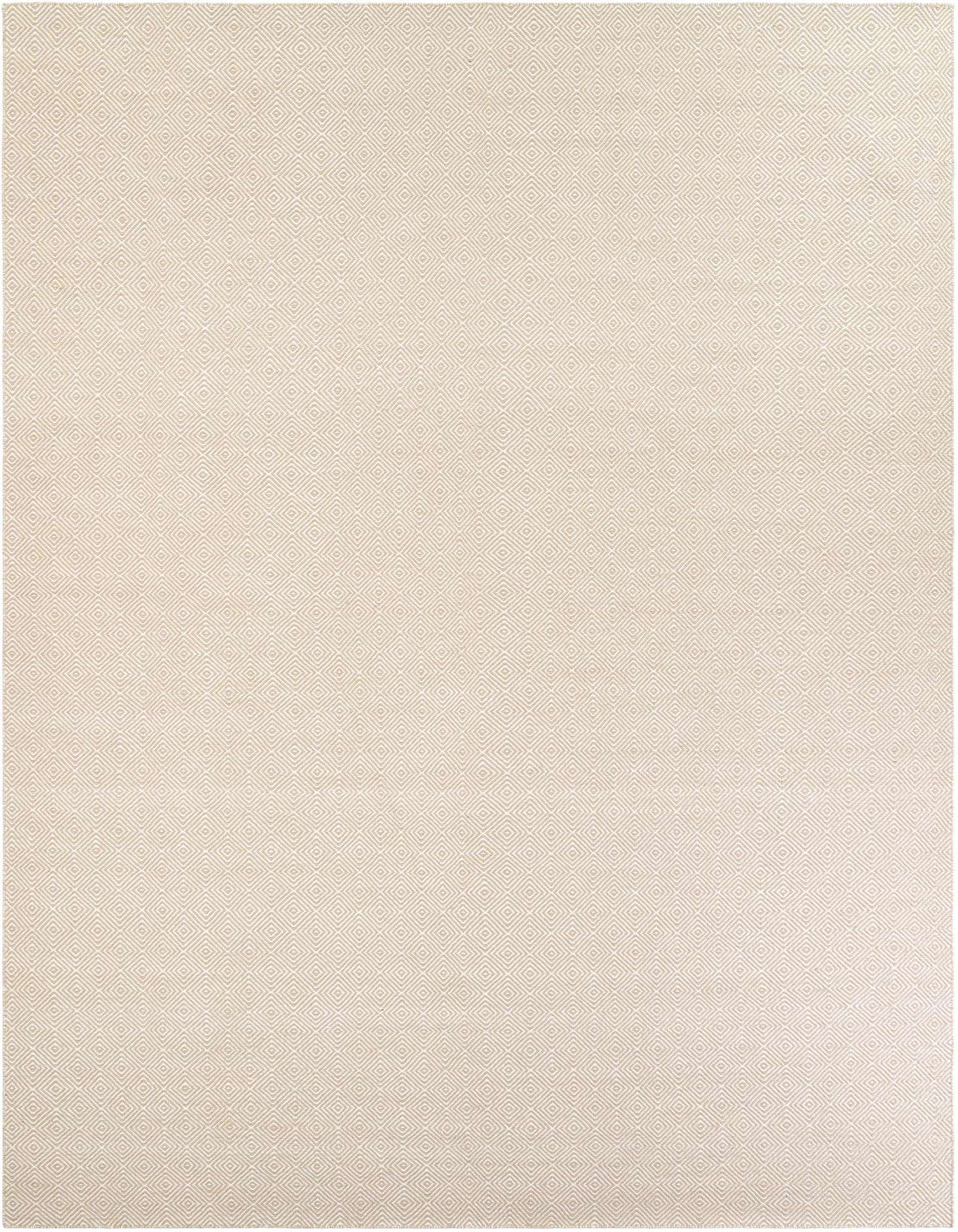 10' x 14' 1 Hand Woven Geo Trellis Flatweave Rug