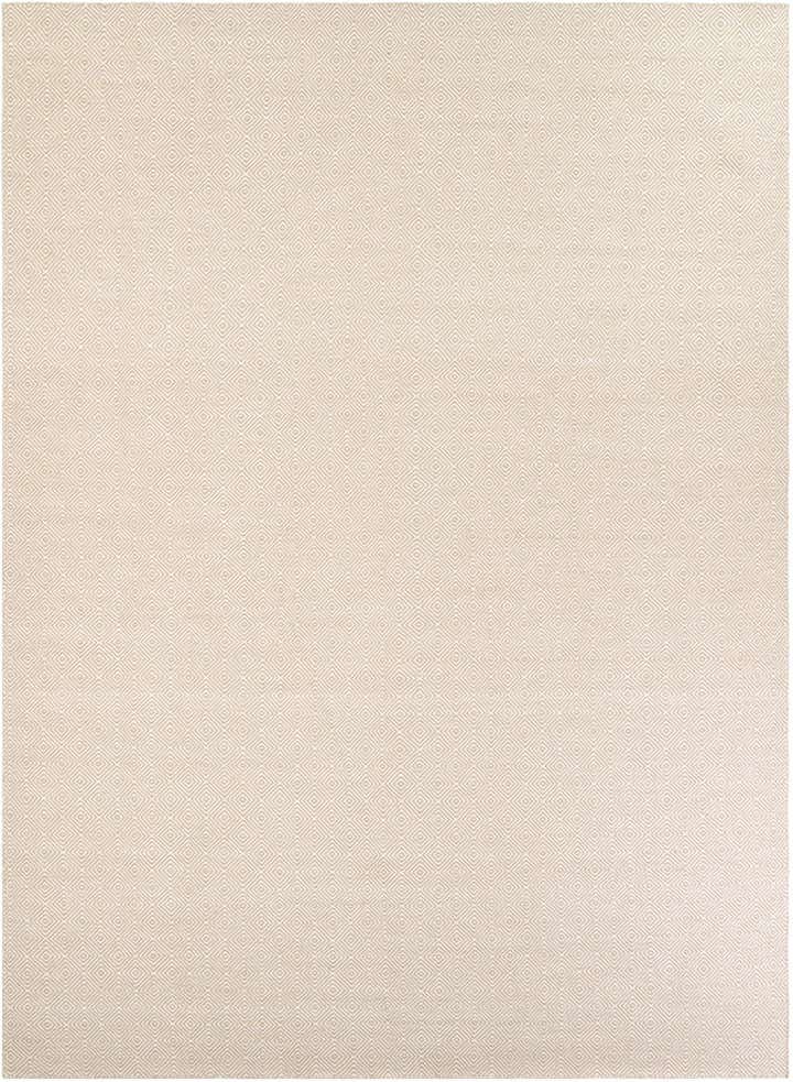 10' x 14' 1 Hand Woven Geo Trellis Flatweave Rug