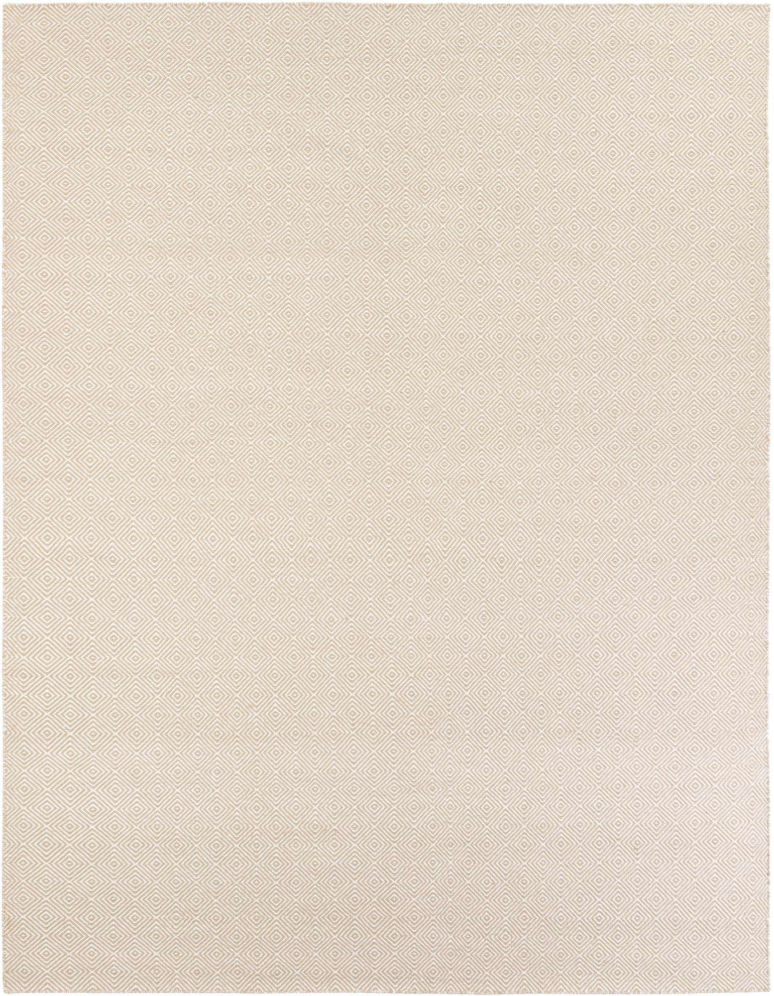 9' x 12' Hand Woven Geo Trellis Flatweave Rug