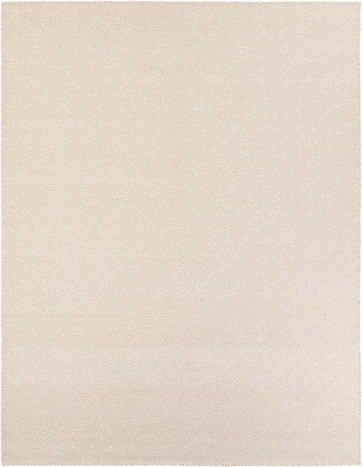 9' x 12' Hand Woven Geo Trellis Flatweave Rug