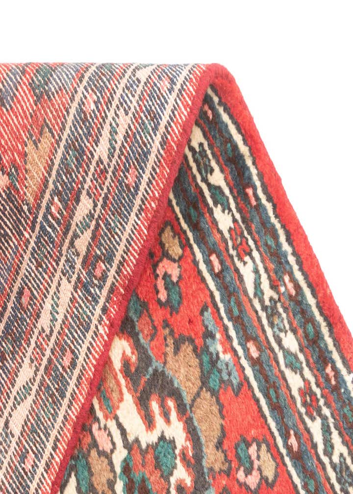 3' 4 x 8' 2 Hamedan Rug