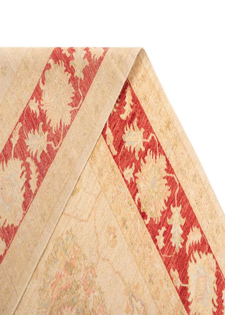 9' 11 x 17' 6 Kaizar Wool Rug