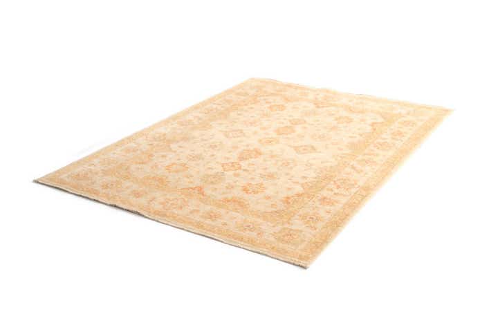 5' x 6' 9 Kaizar Wool Rug