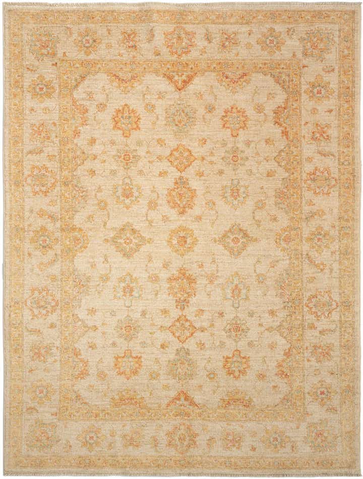 5' x 6' 9 Kaizar Wool Rug