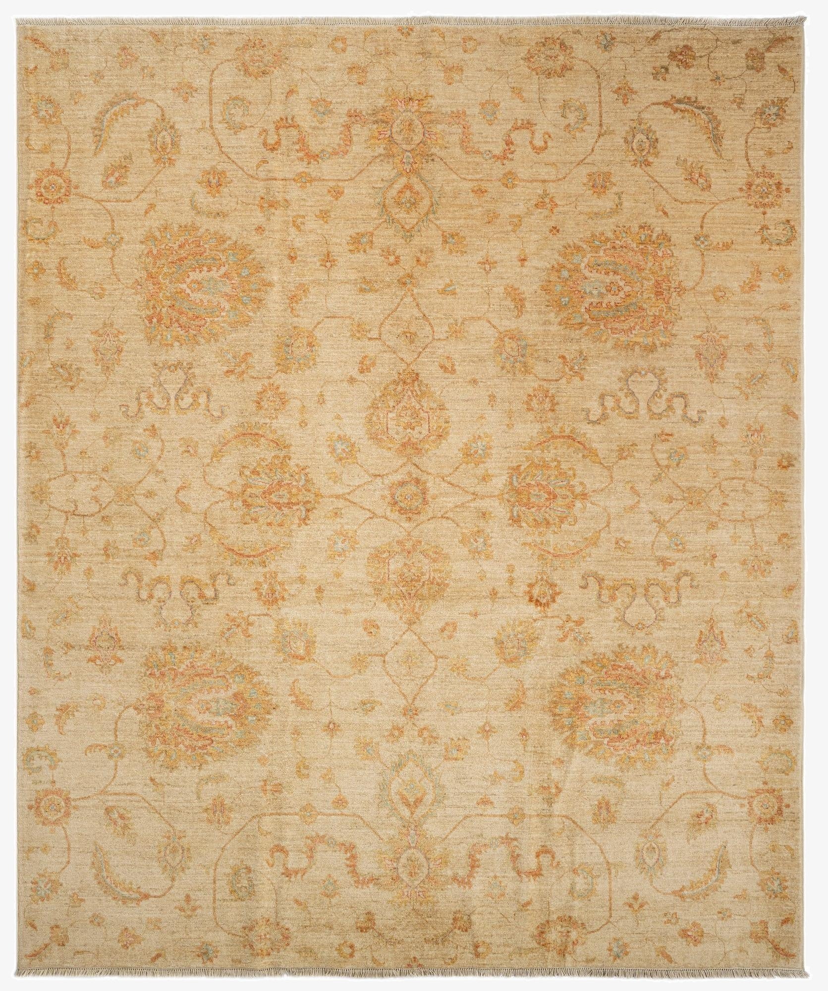 8' 2 x 9' 10 Kaizar Wool Rug