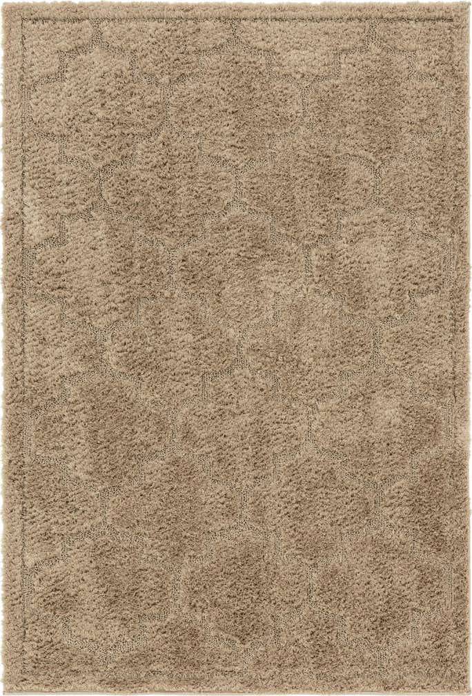 4' x 6' Lattice Shag Rug