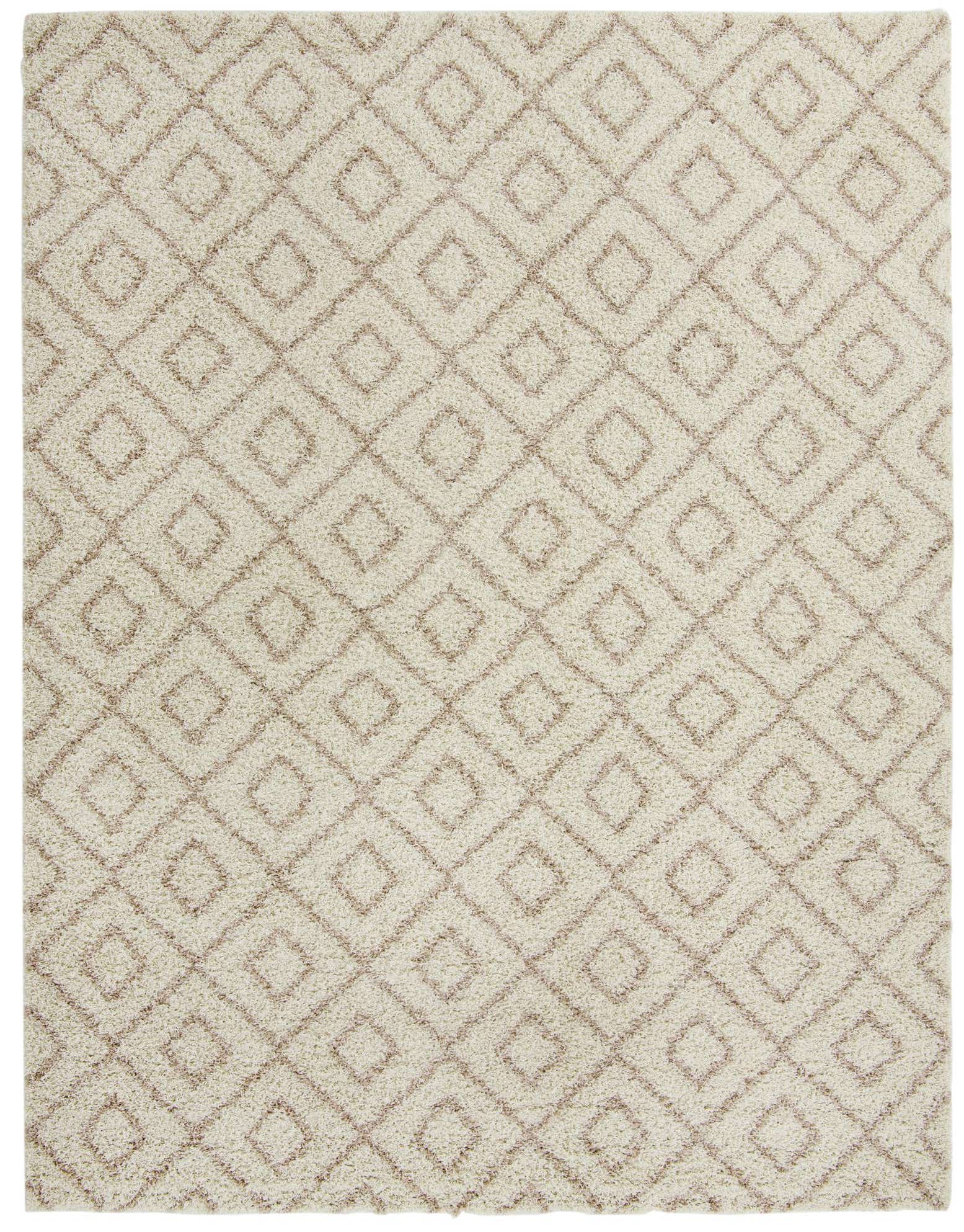 10' x 13' Lattice Shag Rug