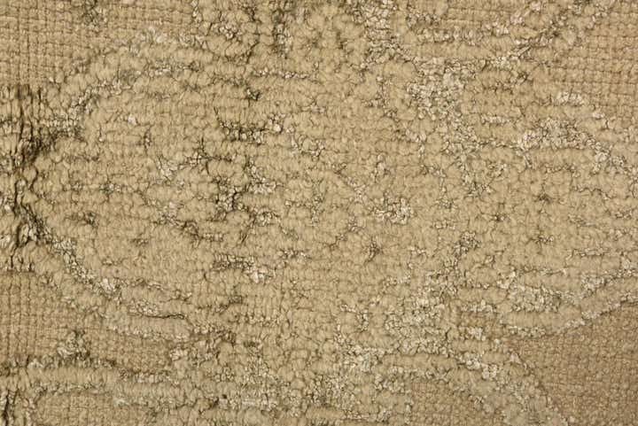 5' x 7' Hand Knotted Luna Rug