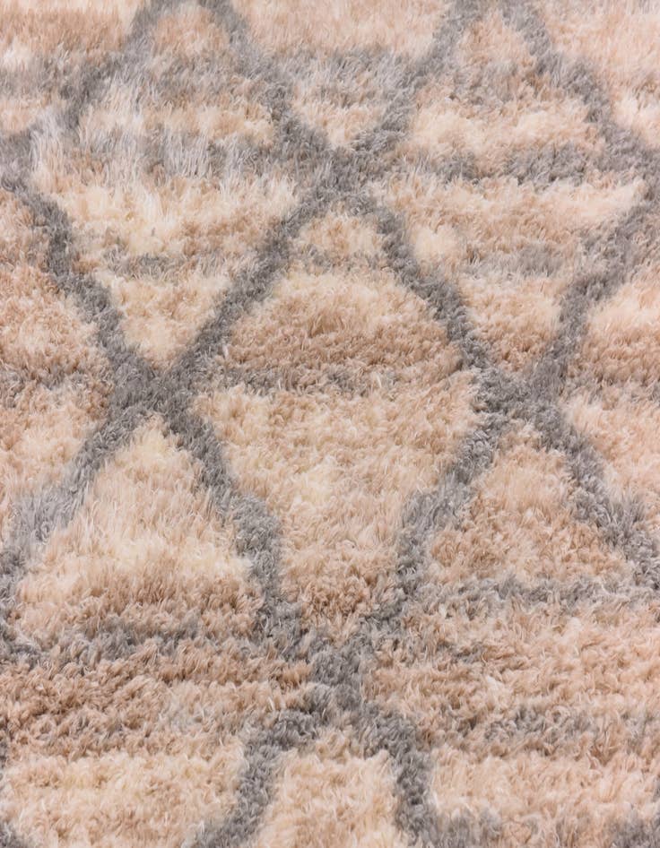 Detail image of 5' 4 x 7' 6 Moroccan Shag Rug