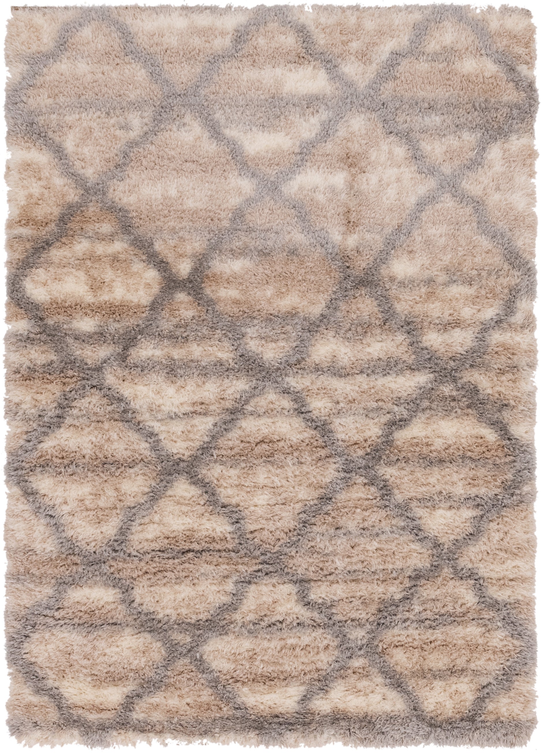 5' 4 x 7' 6 Moroccan Shag Rug