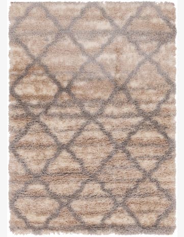 5' 4 x 7' 6 Moroccan Shag Rug