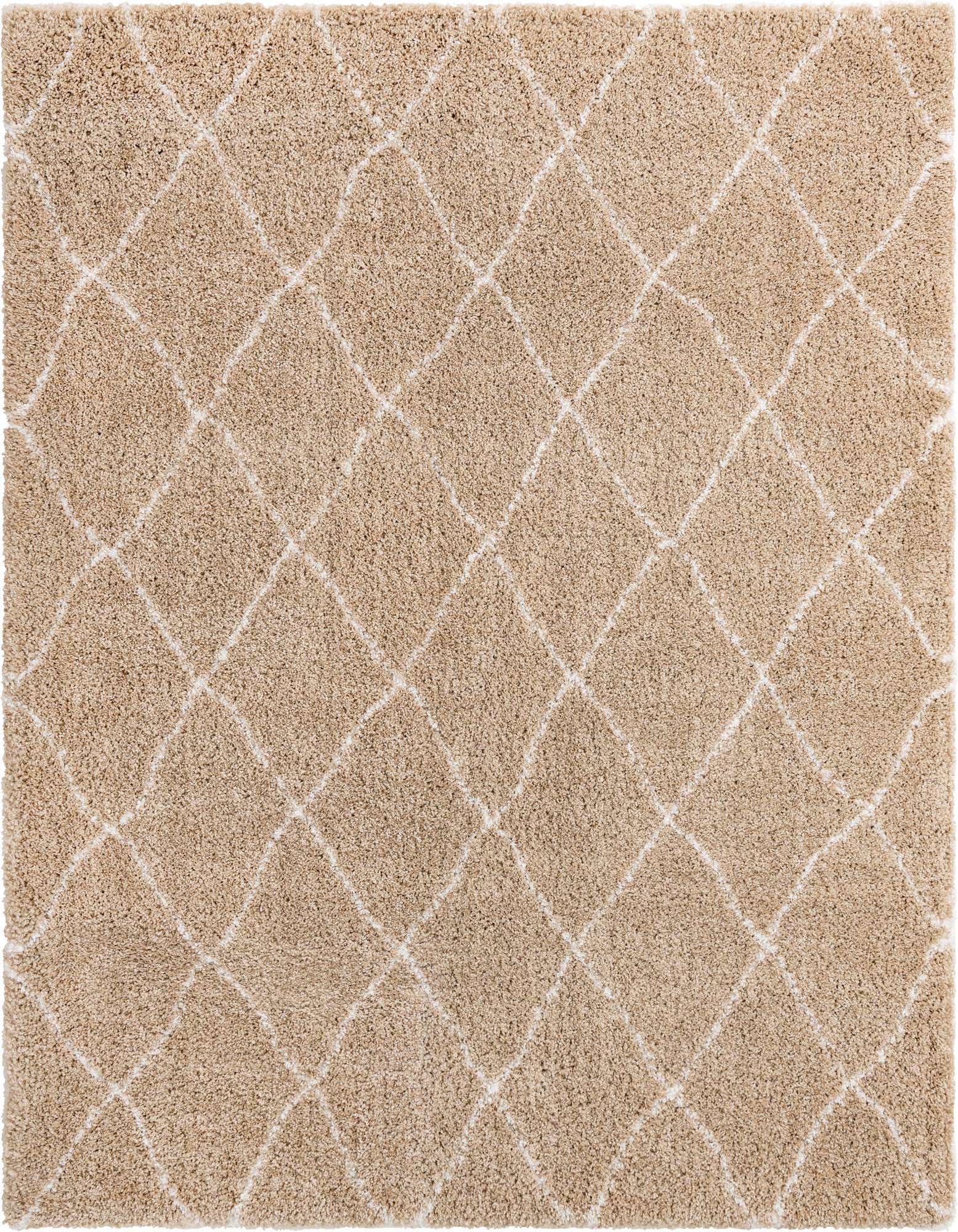 8' x 10' Moroccan Shag Rug