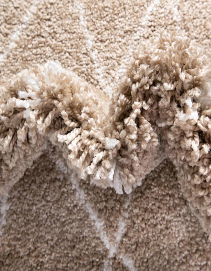 Detail image of 4' x 6' Moroccan Shag Rug