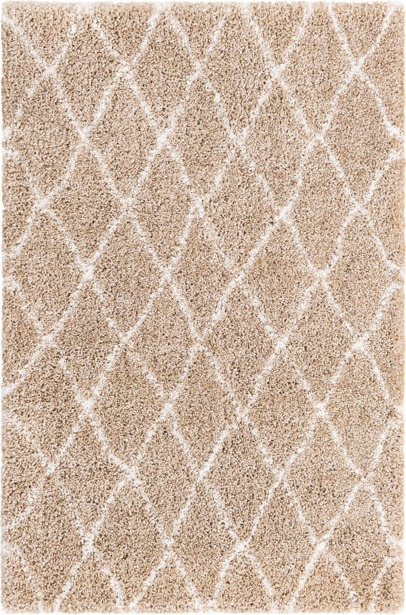 4' x 6' Moroccan Shag Rug